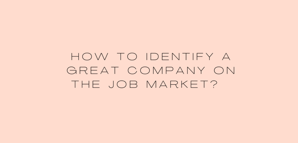 How to identify a great company on the job market?